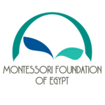 MFE Logo